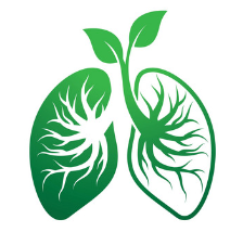 Lungs - 2